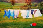 Giặt phơi áo thun đúng phương pháp